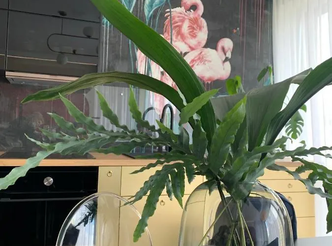 Apartament Zapomnienie *